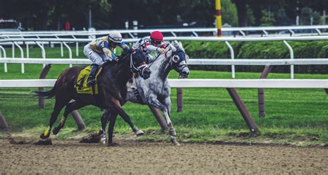 2024 Philippine Legal Horse Betting .